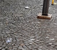 Bild: M&uuml;ll an der Haltestelle Marktplatz