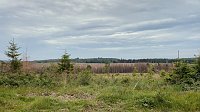Eindrücke aus dem Oberharz zwischen Trautenstein und Sophienhon Bild: Eindrücke aus dem Oberharz zwischen Trautenstein und Sophienhon