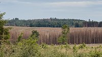 Eindrücke aus dem Oberharz zwischen Trautenstein und Sophienhof Bild: Eindrücke aus dem Oberharz zwischen Trautenstein und Sophienhof
