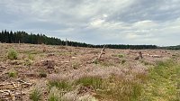 Eindrücke aus dem Oberharz zwischen Trautenstein und Sophienhof Bild: Eindrücke aus dem Oberharz zwischen Trautenstein und Sophienhof