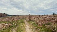 Eindrücke aus dem Oberharzzwischen Trautenstein und Sophienhof Bild: Eindrücke aus dem Oberharzzwischen Trautenstein und Sophienhof