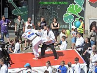Bild: Festumzug zur 1095-Jahrfeier der Stadt Nordhausen