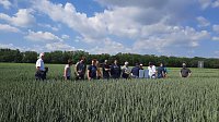 Feldtag des Kreisbauernverbandes und des Südharzer Landhandels Bild: Feldtag des Kreisbauernverbandes und des Südharzer Landhandels