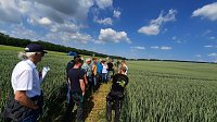 Feldtag des Kreisbauernverbandes und des Südharzer Landhandels Bild: Feldtag des Kreisbauernverbandes und des Südharzer Landhandels