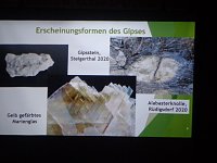 Bild: Vereinsabend der Geschichtsfreunde im Tabakspeicher