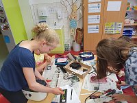 Müllprojekt in der Grundschule Werther Bild: Müllprojekt in der Grundschule Werther