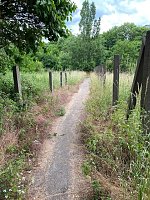 Unberührte Natur in Nordhausen? Bild: Unberührte Natur in Nordhausen?