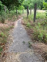 Unberührte Natur in Nordhausen? Bild: Unberührte Natur in Nordhausen?