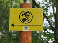 Bild: Auf dem Feuersalamanderpfad
