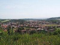 Bild: Auf dem Feuersalamanderpfad