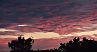 Bild: Weitere Impressionen vom purpurnen Abendhimmel von Michael M&uuml;ller