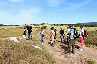Bild: botanische Wanderung vor der eigenen Haust&uuml;r