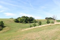 Bild: botanische Wanderung vor der eigenen Haust&uuml;r