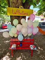 Sommerfest am Domschlösschen Bild: Sommerfest am Domschlösschen