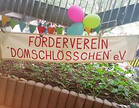Sommerfest am Domschlösschen Bild: Sommerfest am Domschlösschen
