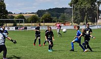 Pokalendspiel der D-Junioren Bild: Pokalendspiel der D-Junioren