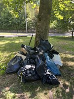 Clean Up Day Bild: Clean Up Day