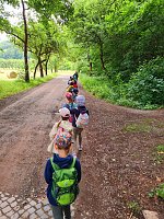 Wald-Finale vor der Sommerpause Bild: Wald-Finale vor der Sommerpause