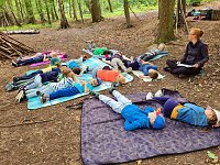 Wald-Finale vor der Sommerpause Bild: Wald-Finale vor der Sommerpause