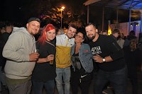 Parknick im Gehege Bild: Parknick im Gehege