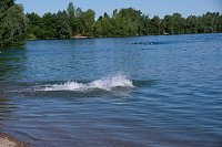 Bild: 19. Scheunenhof-Triathlon gestartet