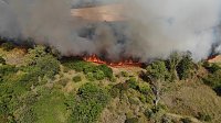 Feldbrand bei Großfurra Bild: Feldbrand bei Großfurra