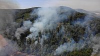 Waldbrand bei Wernrode Bild: Waldbrand bei Wernrode