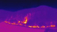 Waldbrand bei Wernrode Bild: Waldbrand bei Wernrode
