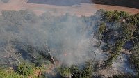 Waldbrand bei Wernrode Bild: Waldbrand bei Wernrode