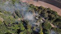 Waldbrand bei Wernrode Bild: Waldbrand bei Wernrode