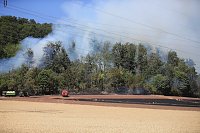 Waldbrand bei Wernrode Bild: Waldbrand bei Wernrode