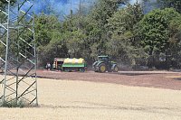 Waldbrand bei Wernrode Bild: Waldbrand bei Wernrode