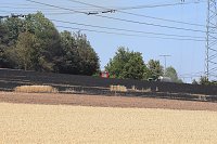 Waldbrand bei Wernrode Bild: Waldbrand bei Wernrode