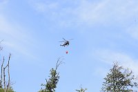Waldbrand bei Wernrode Bild: Waldbrand bei Wernrode