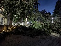 Ast begräbt Auto am Nordhäuser Theater Bild: Ast begräbt Auto am Nordhäuser Theater