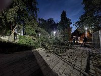 Ast begräbt Auto am Nordhäuser Theater Bild: Ast begräbt Auto am Nordhäuser Theater