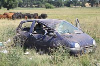 Unfall heute Mittag bei Wolkramshausen Bild: Unfall heute Mittag bei Wolkramshausen