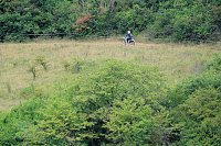 Bild: Impressionen vom Rennen am Ziegelwerk