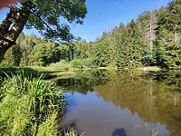 Bild: Am Hardteich