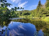 Bild: Am Hardteich