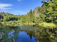 Bild: Am Hardteich