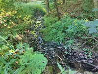 Bild: Am Hardteich