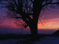 Sonnenstrahlen Bild: Sonnenstrahlen