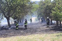 Bild: Fl&auml;chenbrand zwischen Gro&szlig;- und Kleinfurra