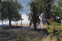 Bild: Fl&auml;chenbrand zwischen Gro&szlig;- und Kleinfurra