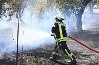 Bild: Fl&auml;chenbrand zwischen Gro&szlig;- und Kleinfurra