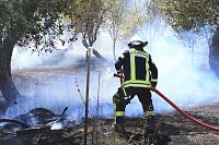 Bild: Fl&auml;chenbrand zwischen Gro&szlig;- und Kleinfurra