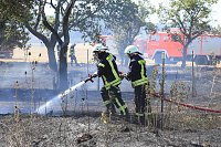 Bild: Fl&auml;chenbrand zwischen Gro&szlig;- und Kleinfurra