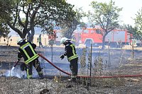 Bild: Fl&auml;chenbrand zwischen Gro&szlig;- und Kleinfurra