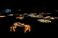 Bild: Peter Blei unterwegs auf dem Lichterfest